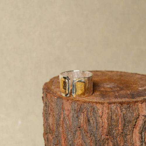 Silver/Gold Ring