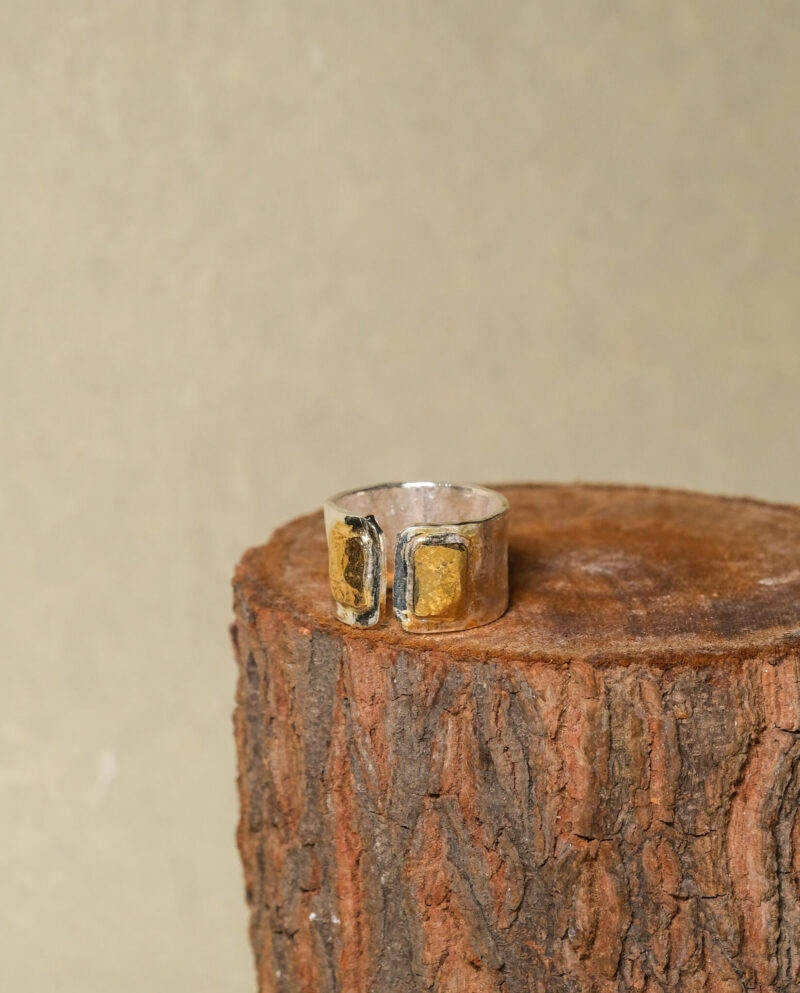 Silver/Gold Ring